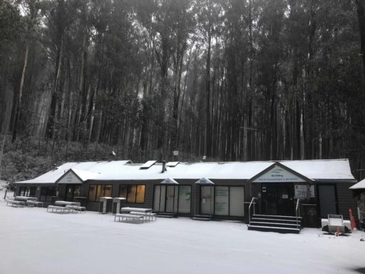 Mt Stirling Cafe with a light covering of snow and tall eucalyptus forest standing behind
